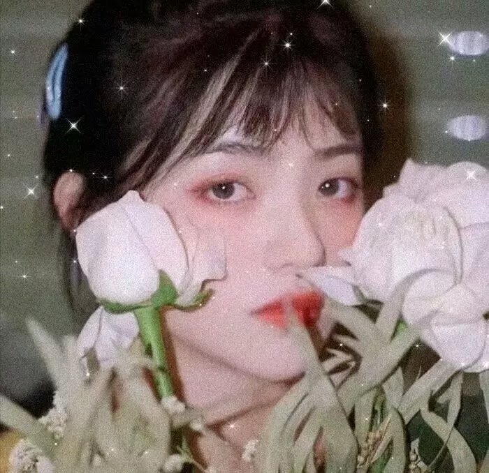哈妮拉警报