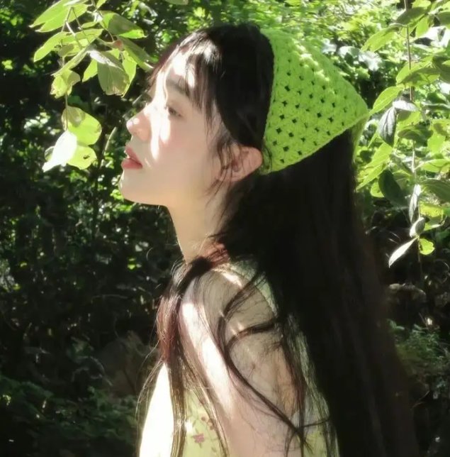 粉红火鹤的神秘凝视